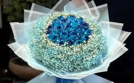 راهنمای انتخاب گل خواستگاری: گلی برای آغاز یک عاشقانه
