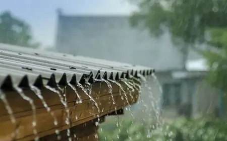 تعبیر خواب باران شدید را از دیدگاه معبران و روانشناسی