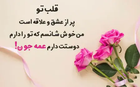 جملات زیبا در مورد عشق عمه به برادرزاده