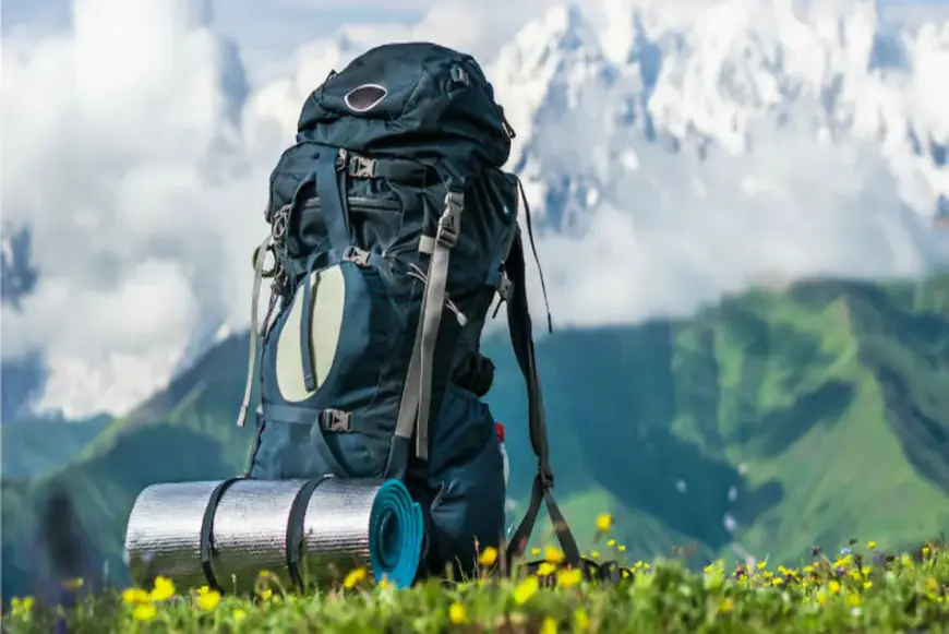 بیو برای پیج تور طبیعت گردی؛ متن‌های خاص و جذاب